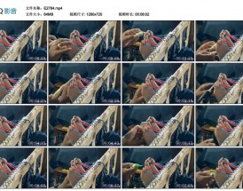龙文鞭影挠脚心tk白丝袜vk